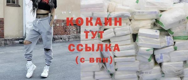 ПСИЛОЦИБИНОВЫЕ ГРИБЫ Белокуриха