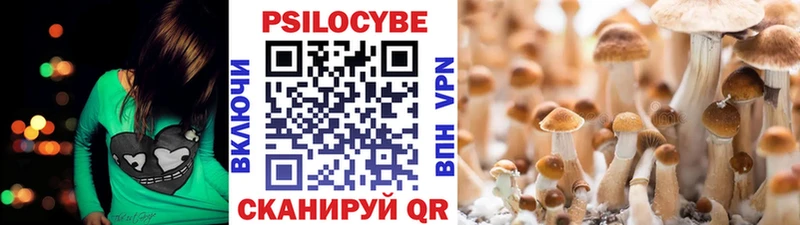 Купить закладки  Великий Устюг  Галлюциногенные грибы Magic Shrooms 
