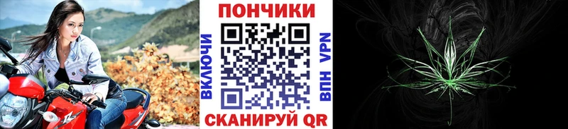 Купить закладки  Великий Устюг  Конопля индика 